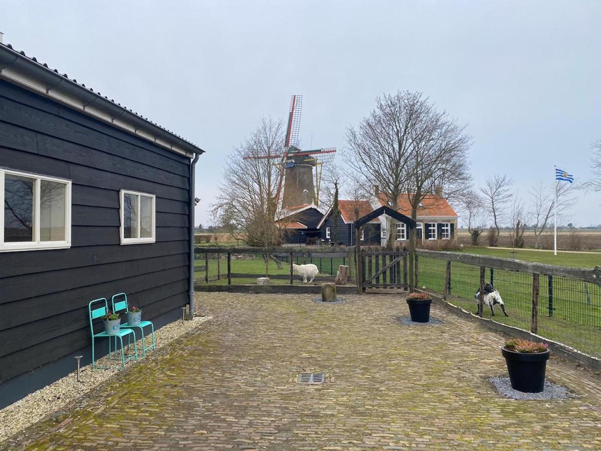 Suite School 15 B Zonnemaire Exteriér fotografie